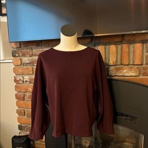 Ann Taylor Deep Burgundy Blouse